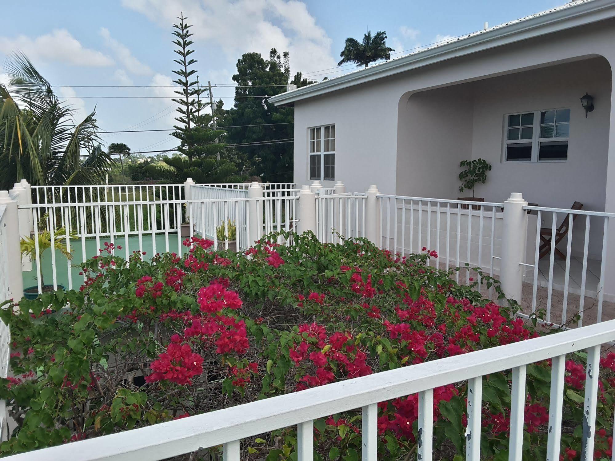 Caribbean Inn And Suites St. John's Екстериор снимка